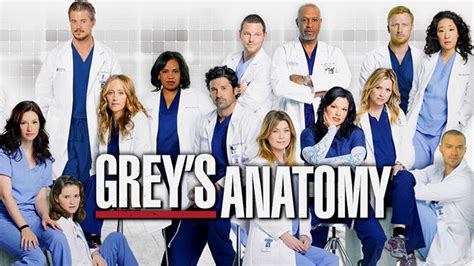 grey's anatomy season 13 fullrip|Watch Grey's Anatomy .